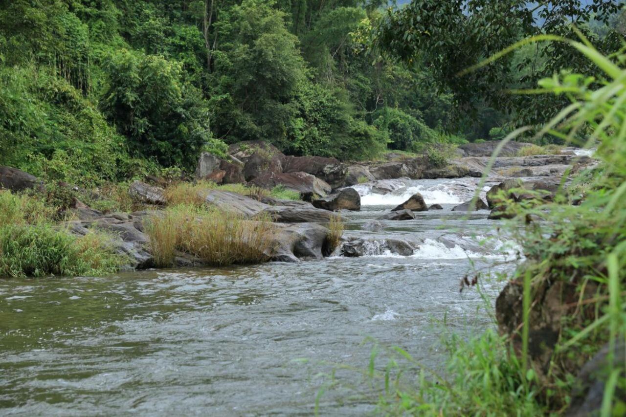 Ayursakthi Riverdale Munnar Exteriér fotografie