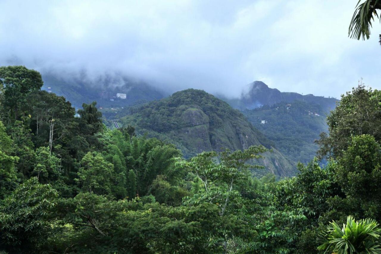 Ayursakthi Riverdale Munnar Exteriér fotografie