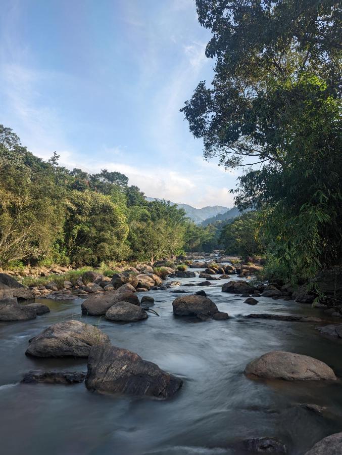 Ayursakthi Riverdale Munnar Exteriér fotografie