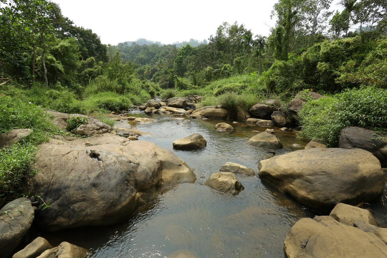 Ayursakthi Riverdale Munnar Exteriér fotografie