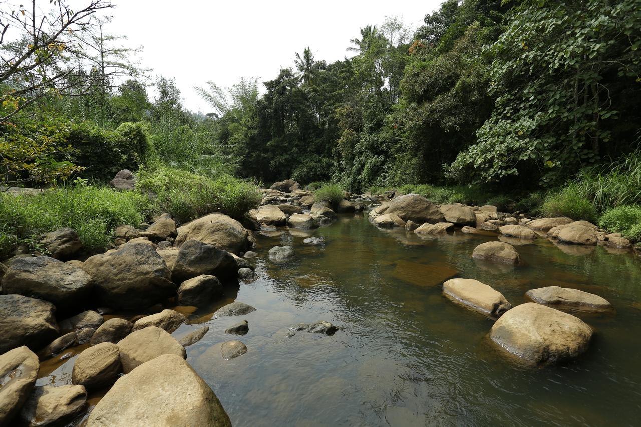 Ayursakthi Riverdale Munnar Exteriér fotografie