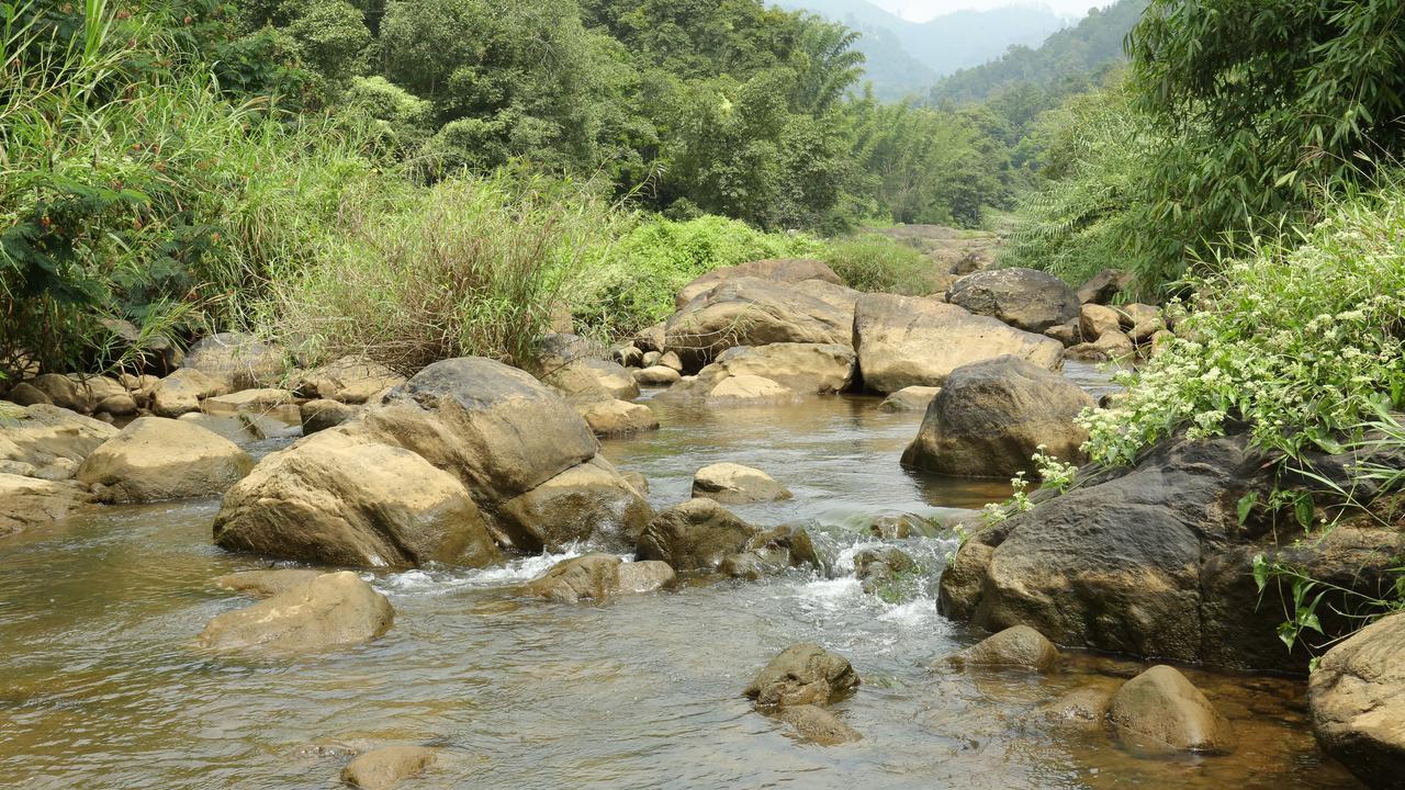 Ayursakthi Riverdale Munnar Exteriér fotografie