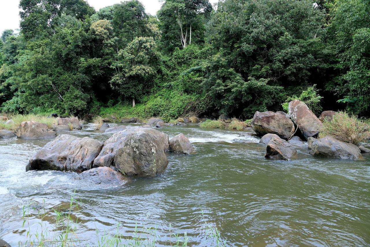 Ayursakthi Riverdale Munnar Exteriér fotografie