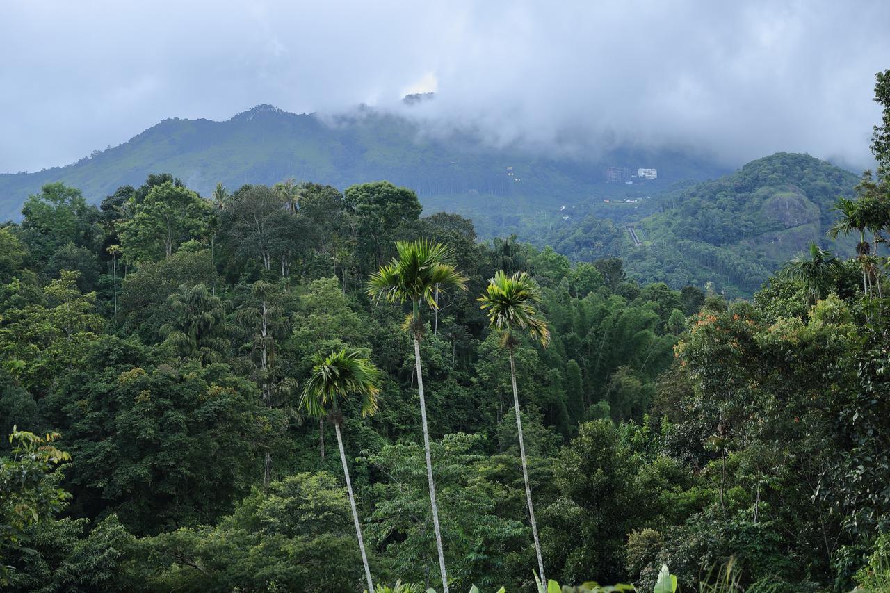 Ayursakthi Riverdale Munnar Exteriér fotografie