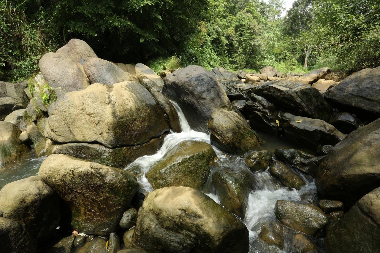 Ayursakthi Riverdale Munnar Exteriér fotografie